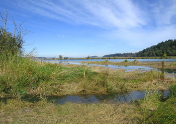 Birding Site of the week image